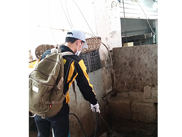 蚊蠅孳生地處理